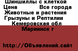 Шиншиллы с клеткой › Цена ­ 8 000 - Все города Животные и растения » Грызуны и Рептилии   . Кемеровская обл.,Мариинск г.